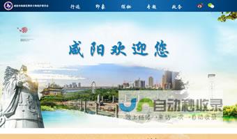 咸阳专业网站建设服务：从设计到推广，助力企业在网络时代脱颖而出